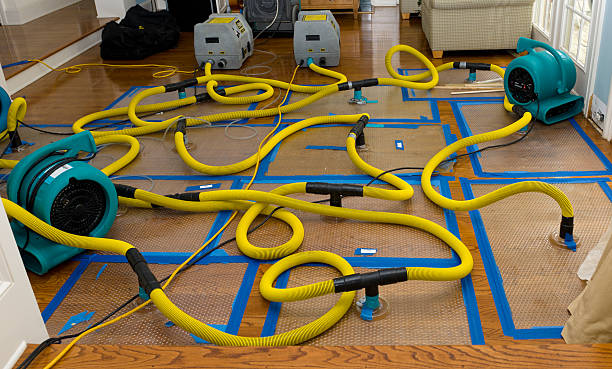 Professional Crawl Space Water Removal technician working in Castine, ME